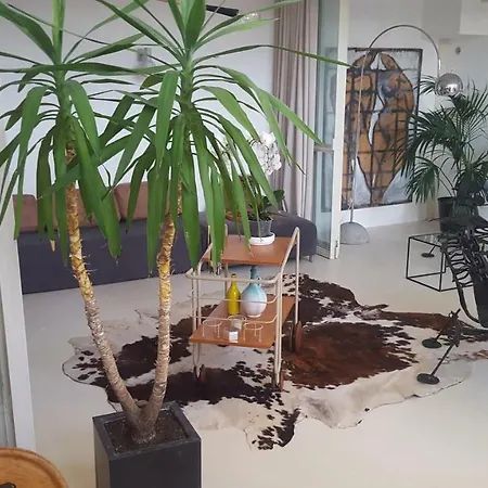 Vakantiehuis Grand Loft Em33 Hyères